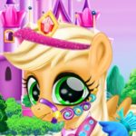 Cute Pony Care