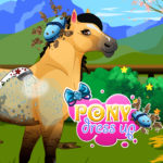 Pony Dress up